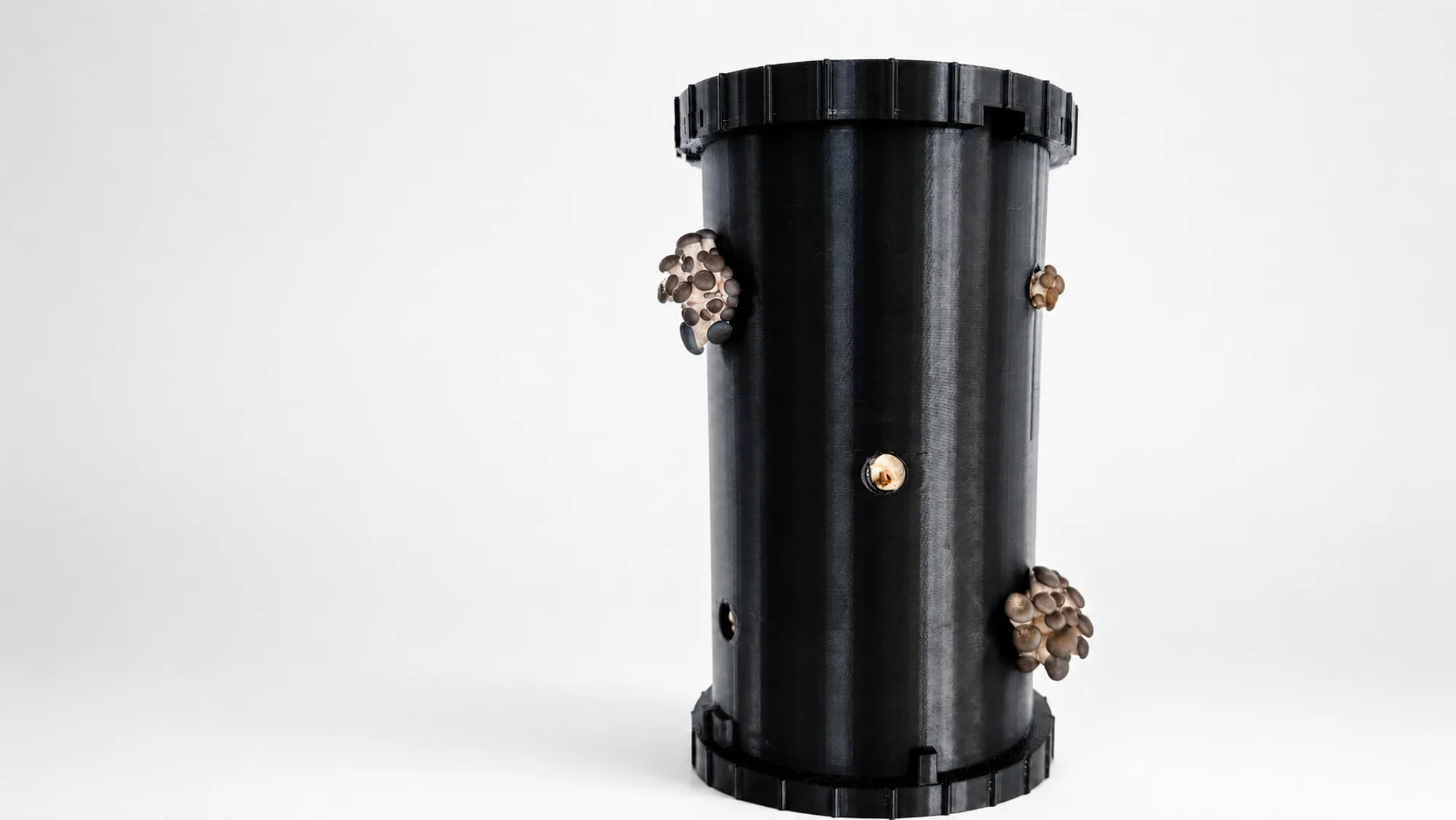 A FlushLite unit with mushrooms fruiting from its open ports