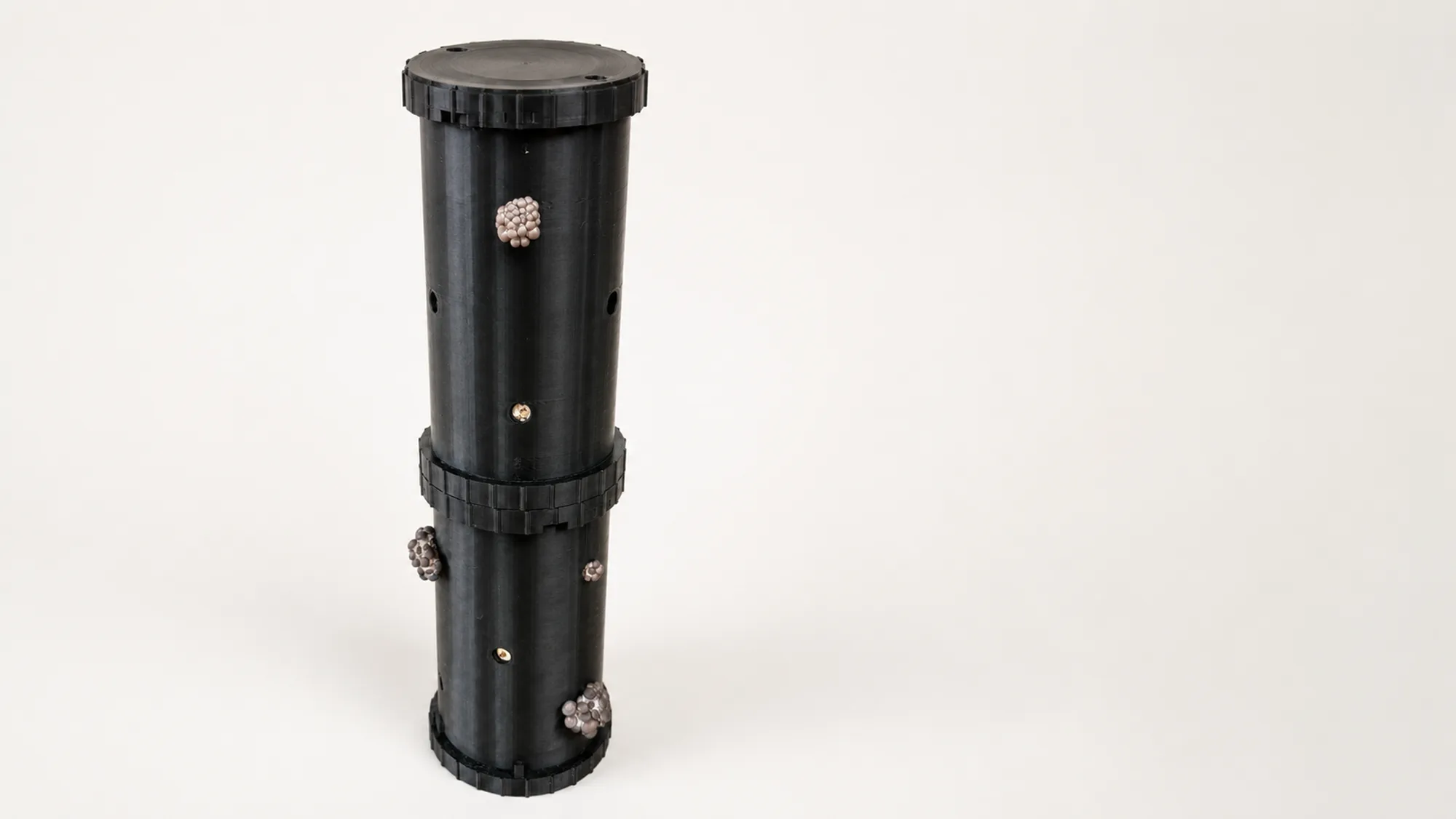 Two FlushLite units stacked into a single tower, mushrooms fruiting from both